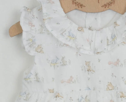 Peter Rabbit  Romper